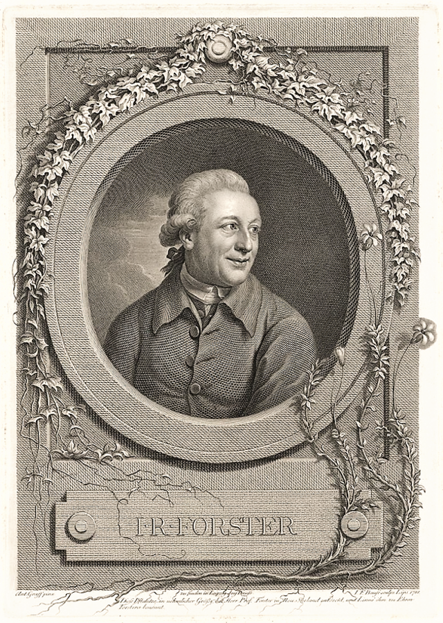 johann_reinhold_forster,_engraving_by_bause_after_graff-1728471217.png